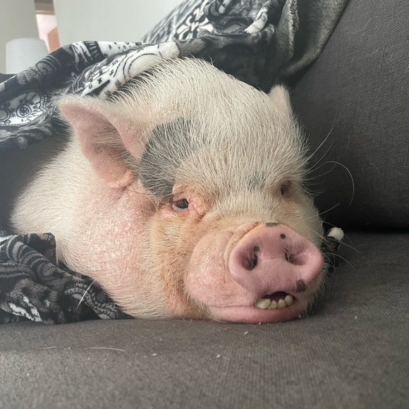 Why I Posh - Picture 16 of 16